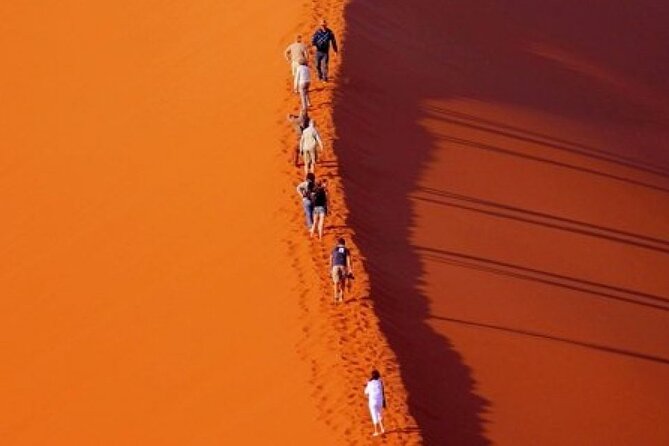 Evening Desert Safari with Belly Dance and BBQ Dinner and Camel Ride - Group size, timing, and comfort