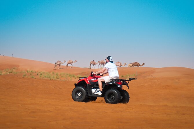 Evening Quad Bike, Desert Safari in Dubai , BBQ Dinner and Shows - Quad biking in a fenced desert area
