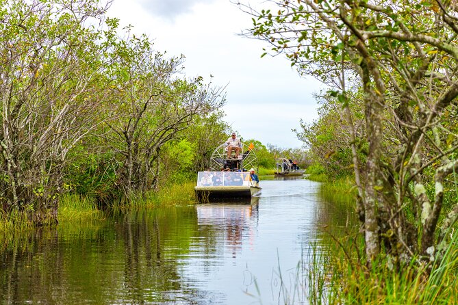 Everglades Airboat Safari Adventure with Transportation - What the 40-minute airboat ride feels like