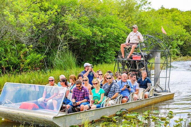 Everglades Airboat Safari Adventure with Transportation - The animal displays and alligator presentation