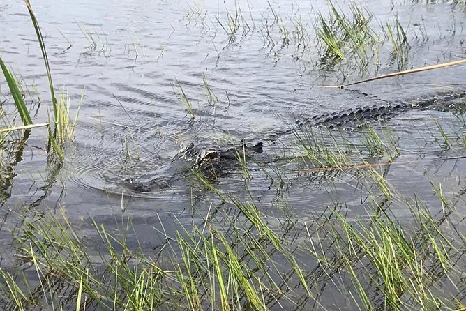 Everglades Airboat Safari Adventure with Transportation - Who should book this Miami airboat trip