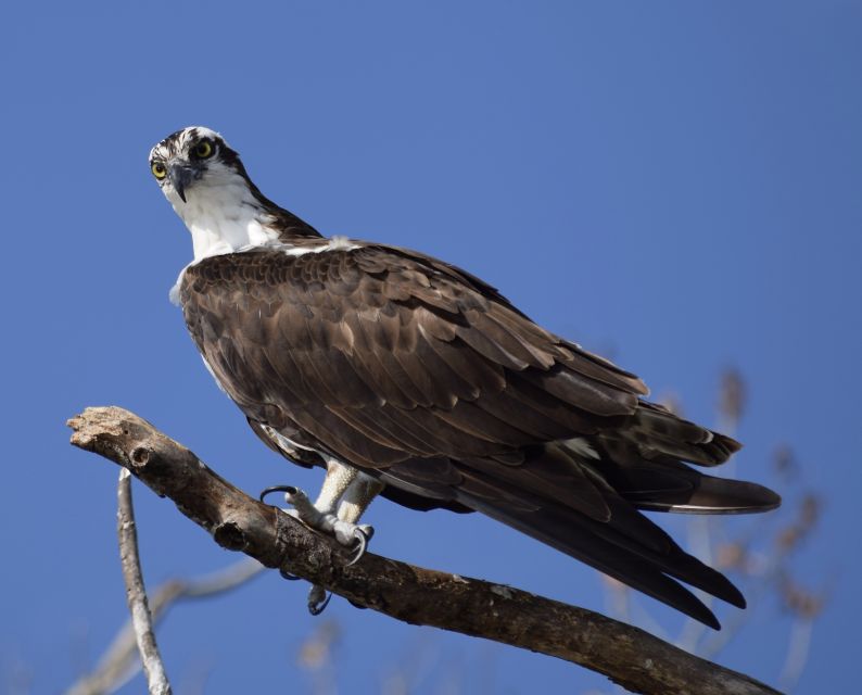 Everglades Day Safari from Fort Lauderdale - The 10,000 Islands by boat