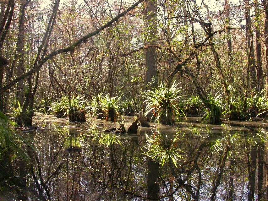Everglades Day Safari from Fort Lauderdale - A short stop in Chokoloskee