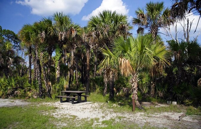 Everglades Day Safari from Fort Myers/Naples Area - Key points at a glance