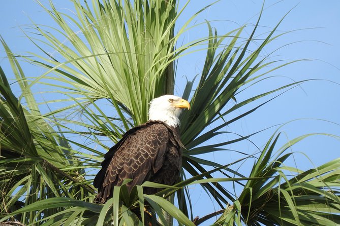 Everglades Day Safari from Fort Myers/Naples Area - A short stop at Smallwood Store