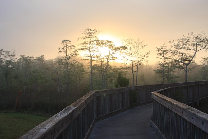 Everglades Day Safari from Fort Myers/Naples Area - What the $250 price really buys