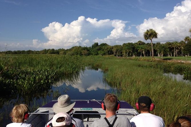 Everglades Day Safari from Fort Myers/Naples Area - Big Cypress by van and on foot