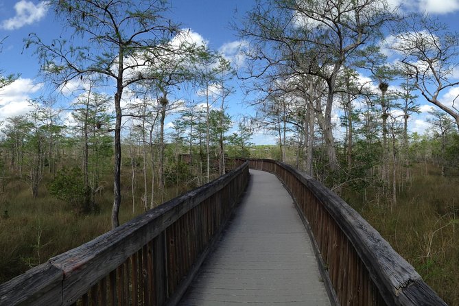 Everglades Day Safari from Ft Lauderdale - Lunch in Everglades City