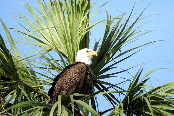 Everglades Day Safari from Ft Lauderdale - A glimpse of the old Everglades at Smallwood Store