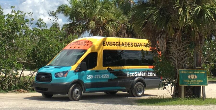Everglades Day Safari from Sanibel, Fort Myers & Naples - The guides are a major part of the value