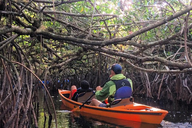 Everglades Kayak Safari Adventure Through Mangrove Tunnels - Why the Turner River makes a fine three-hour paddle