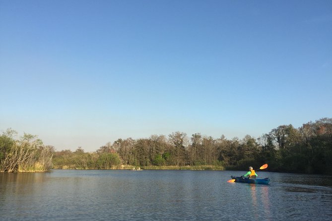 Everglades Kayak Safari Adventure Through Mangrove Tunnels - What the small group changes