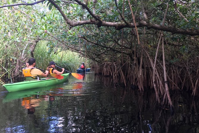 Everglades Kayak Safari Adventure Through Mangrove Tunnels - Who should book this paddle