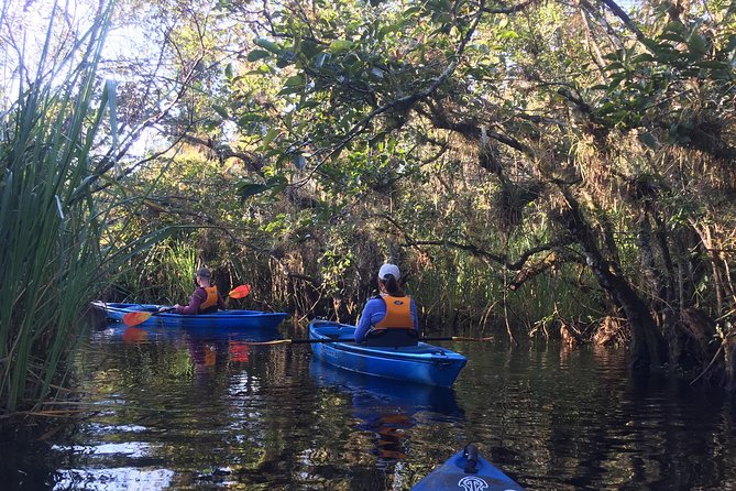 Everglades Kayak Safari Adventure Through Mangrove Tunnels - Practical details before you reserve