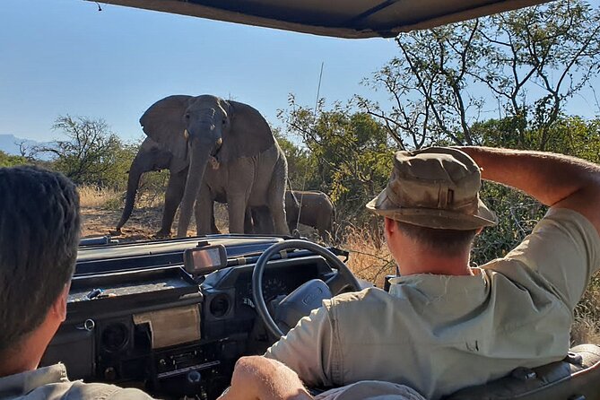 Exclusive Morning Game Drive Safari near Hoedspruit - An early start in the Hoedspruit bush
