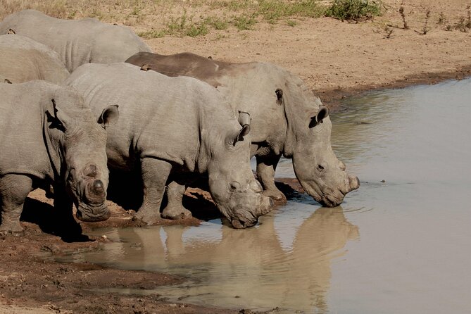 Exclusive Sunset Game Drive Safari near Hoedspruit - A sundowner with the Drakensberg in view