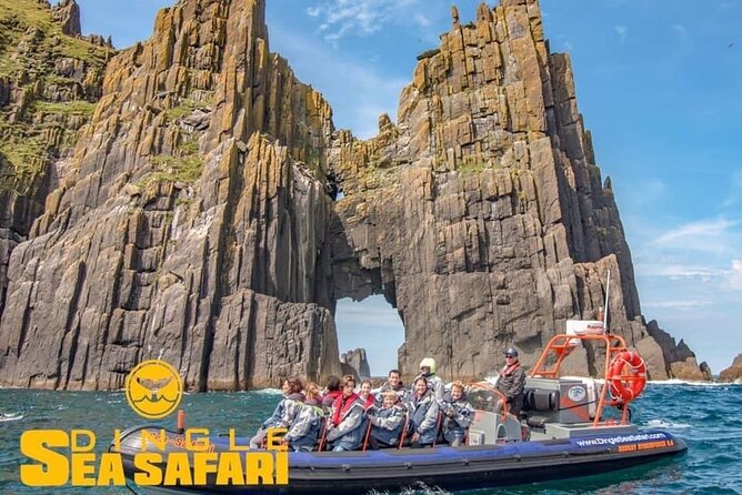 Exhilarating Rib experience - Dingle sea safari - Wildlife sightings, from seals to whales