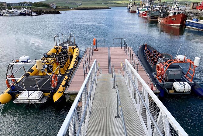 Exhilarating Rib experience - Dingle sea safari - How rough is the RIB ride?