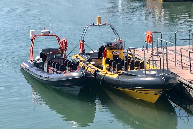 Exhilarating Rib experience - Dingle sea safari - What the $120.93 price gets you