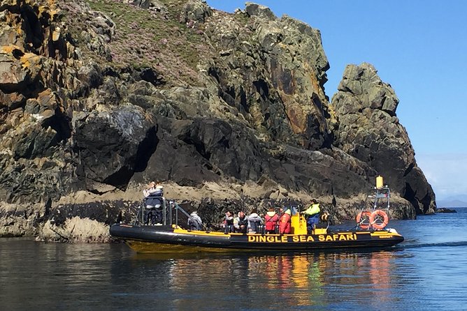 Exhilarating Rib experience - Dingle sea safari - Weather, timing, and what to wear