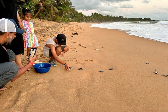 Explore Bentota Village: Guided Tuk Tuk Safari - Is $48 per person fair value?