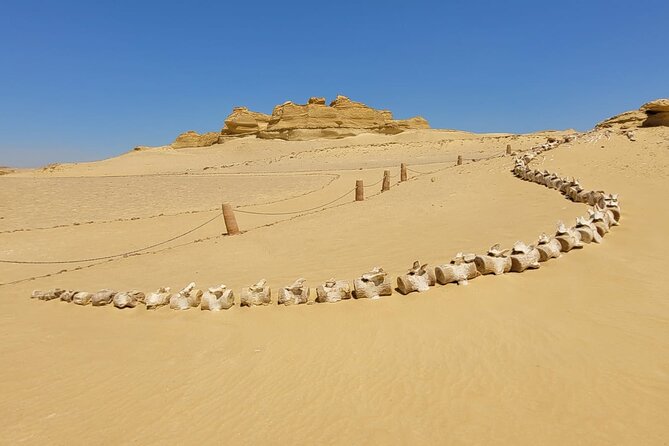 Fayoum Adventure: Whales Valley,4x4 Desert Safari & Wadi Rayan - Magic Lake, lunch, and the human side of the day