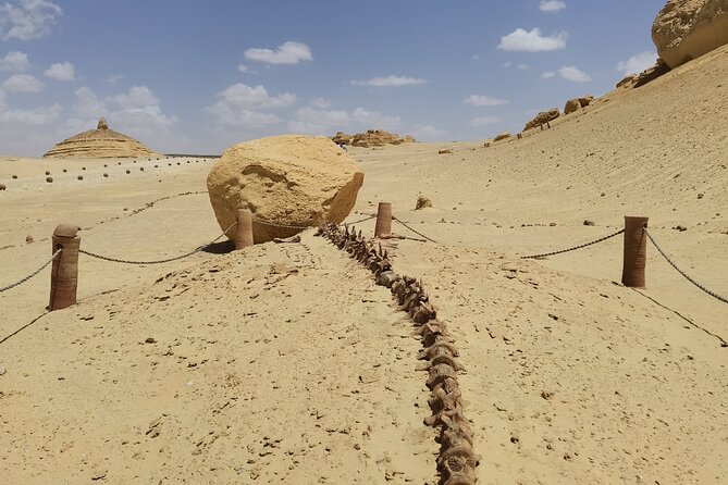 Fayoum Oasis Adventure 4WD Desert Safari with Traditional Lunch - Guides, drivers, and the private format