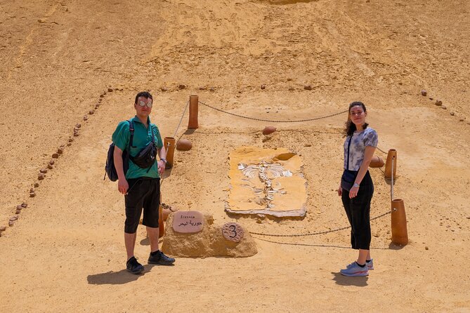 Fayoum Oasis Adventure 4WD Desert Safari with Traditional Lunch - The road to Wadi El-Rayan and Qarun Lake