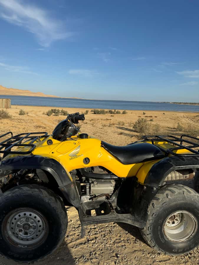 Fayoum: Qarun Sahara Safari With( ATV ) Quad bike From Cairo - Is $200 per person good value?