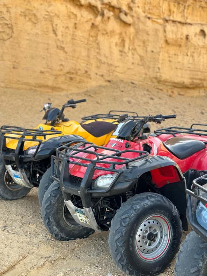 Fayoum: Qarun Sahara Safari With( ATV ) Quad bike From Cairo - Who will enjoy this most?