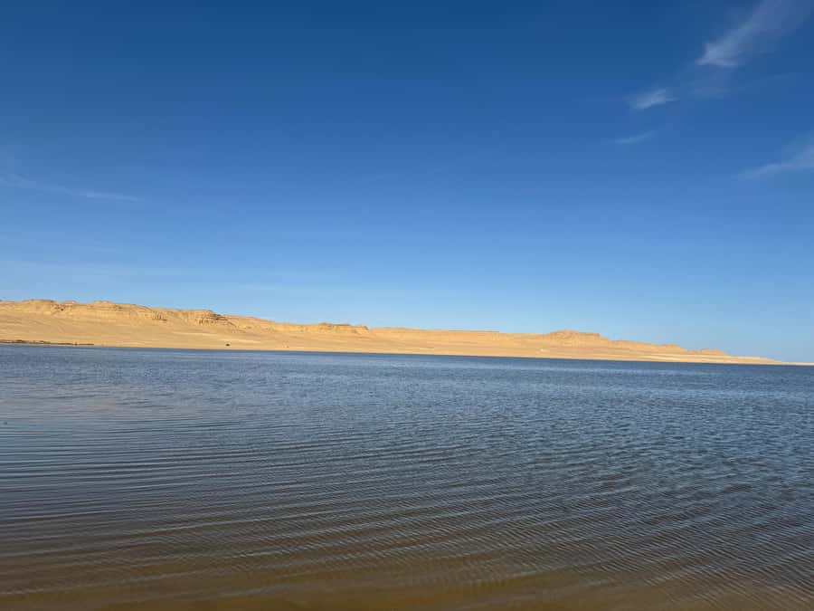 Fayoum: Qarun Sahara Safari With( ATV ) Quad bike From Cairo - A quiet start beside Qarun Lake