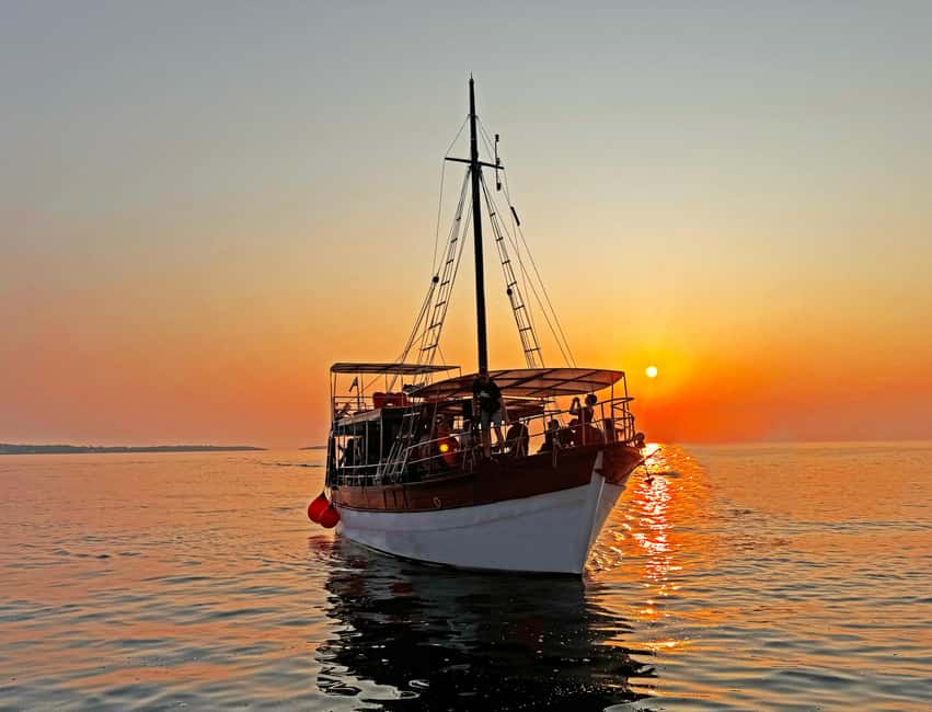Fazana: Dolphin Finder in Brijuni islands Safari with Dinner - Looking for bottlenose dolphins in open water