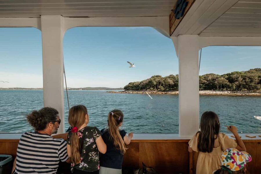 FAŽANA: DOLPHIN SAFARI - A good family outing, with a few limits