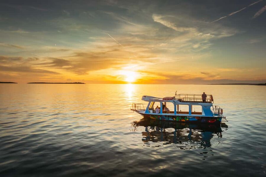 FAŽANA: DOLPHIN SAFARI - Is $41 a fair price?