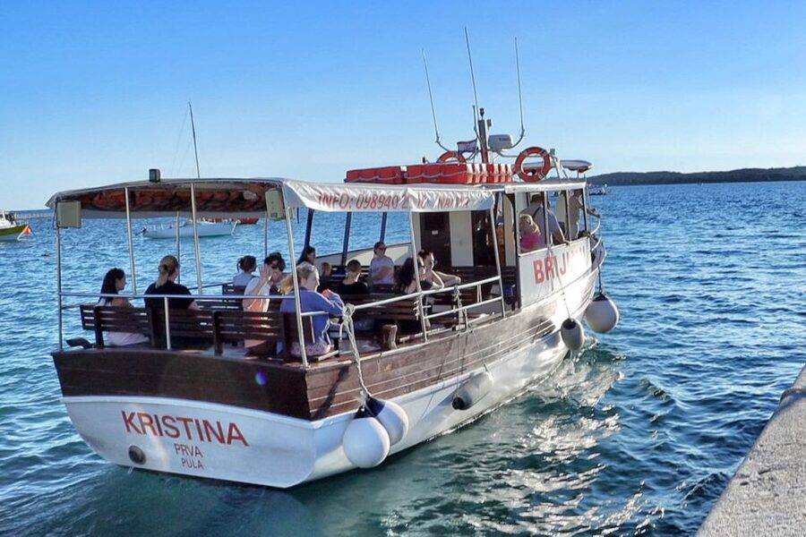 Fazana: dolphin safari and sightseeing in Brijuni at sunset - Searching for dolphins in open water