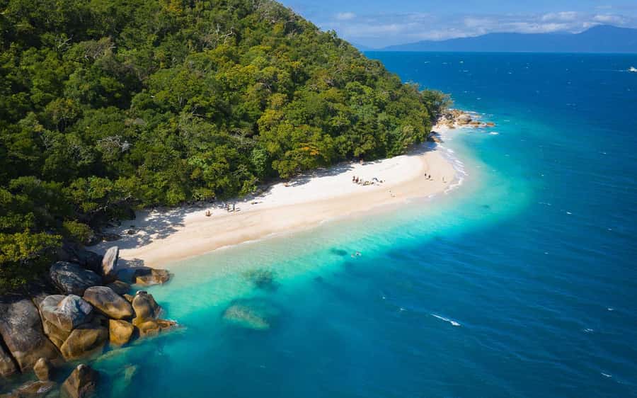 Fitzroy Island: Full-Day Ferry & Snorkel Safari Guided Tour - Why Fitzroy Island works as a full-day escape