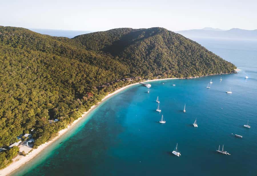 Fitzroy Island: Full-Day Ferry & Snorkel Safari Guided Tour - The 10 AM guided snorkel safari