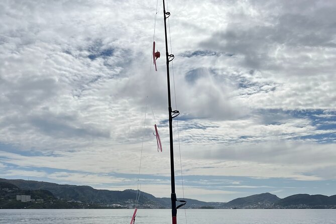 Fjord Sea Safari with Fishing from Bergen - How much value do you get from three hours?