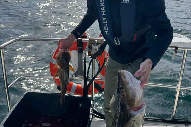 Fjord Sea Safari with Fishing from Bergen - Fishing on the fjord with Andreas