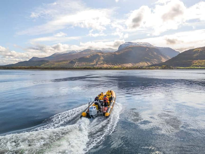 Fort William: 1hr Loch Safari Speedboat Tour - Quick reasons to choose this Fort William boat trip
