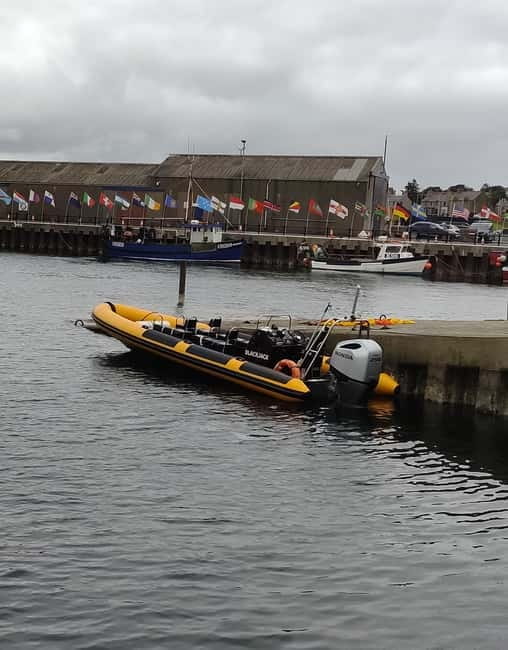 Fort William: 1hr Loch Safari Speedboat Tour - Seal Island and the wildlife search