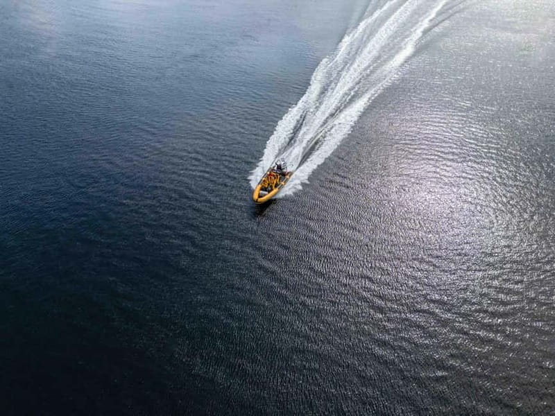 Fort William: 1hr Loch Safari Speedboat Tour - What makes the one-hour format useful