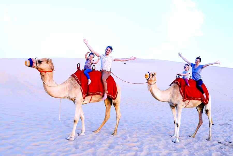 From Abu Dhabi: Dune Bashing Desert Safari - Who should book this desert safari?
