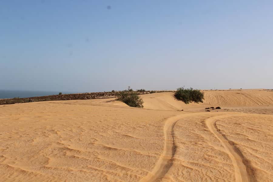From Agadir: 4×4 Sahara Desert Safari with Lunch and Pickup - Who should book this Agadir excursion?