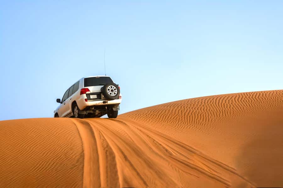 From Agadir: 4×4 Sahara Desert Safari with Lunch and Pickup - Oued Massa and the Souss-Massa bird country