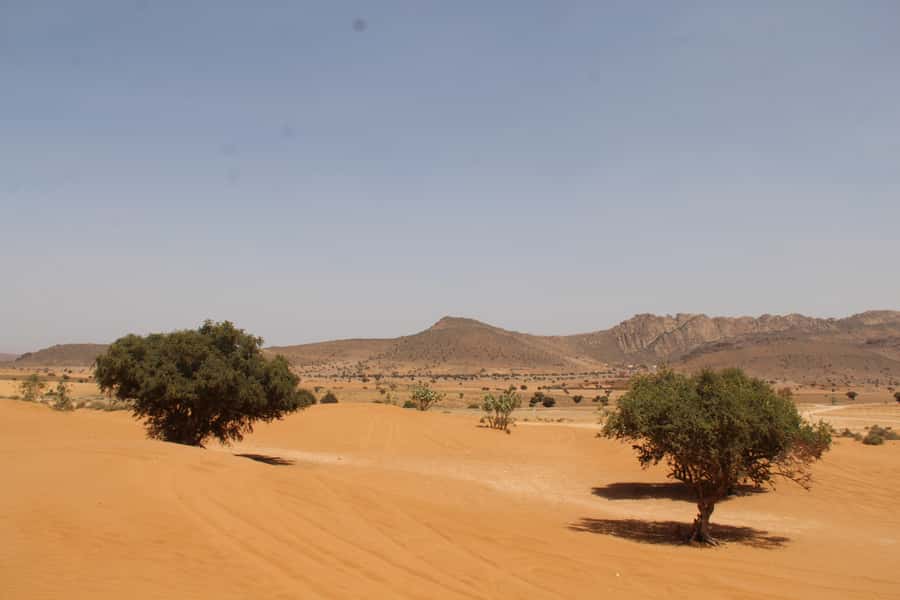 From Agadir: 4×4 Sahara Desert Safari with Lunch and Pickup - The guide matters more than the vehicle