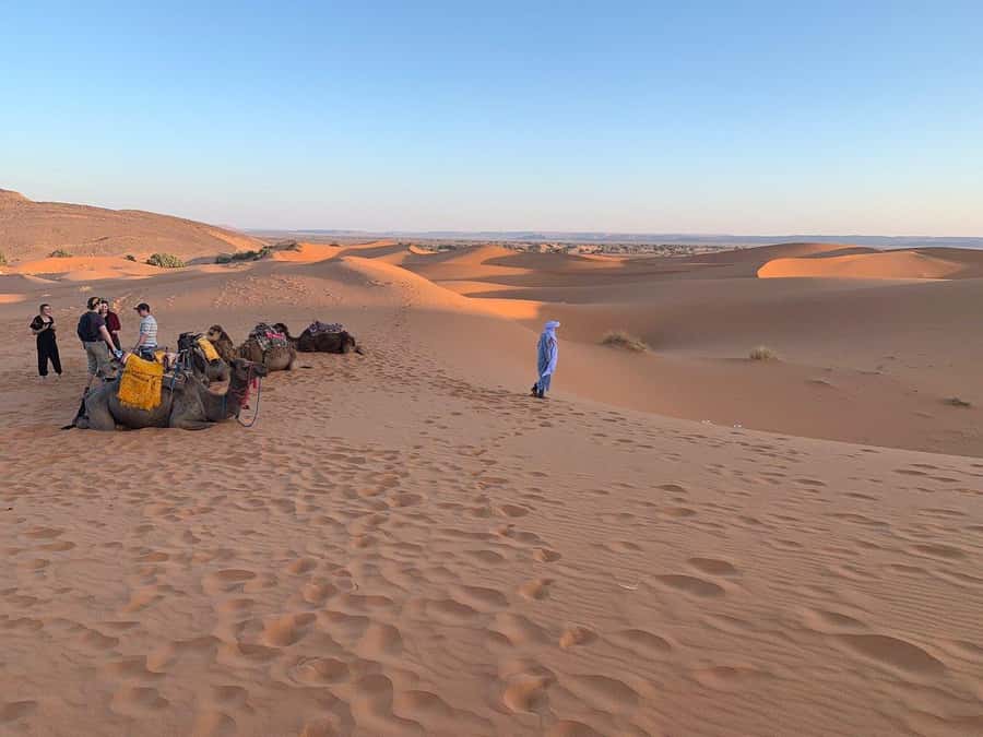 From Agadir: Jeep Desert Safari with Lunch and Camel Ride - The guide can make or break the day