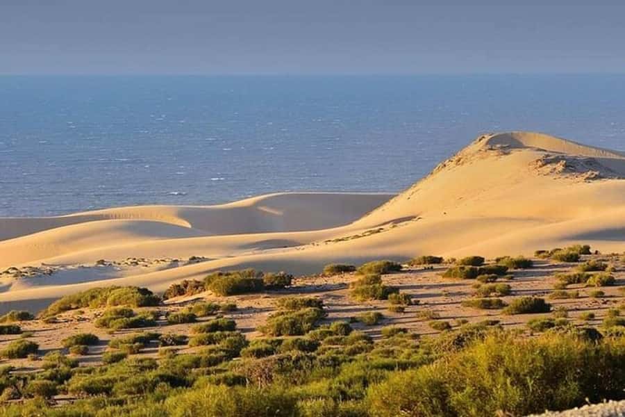 From Agadir: Jeep Desert Safari with Lunch and Camel Ride - Along the Souss-Massa National Park