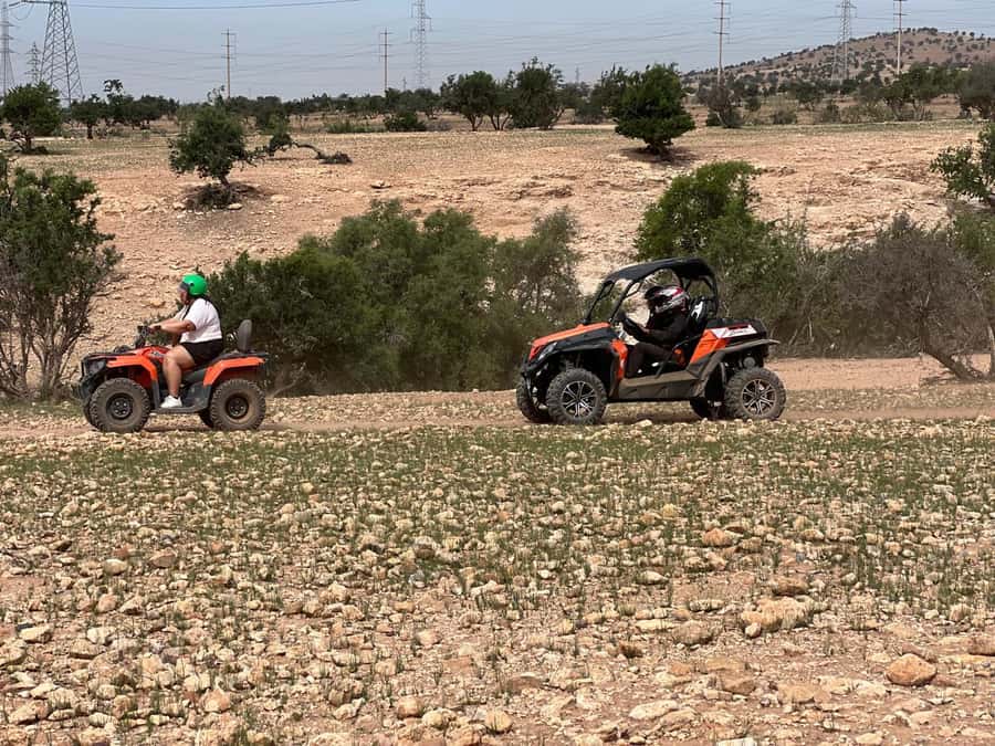 From Agadir/Taghazout: Buggy Safari Adventure & Moroccan Tea - Goats in argan trees and the photo stop
