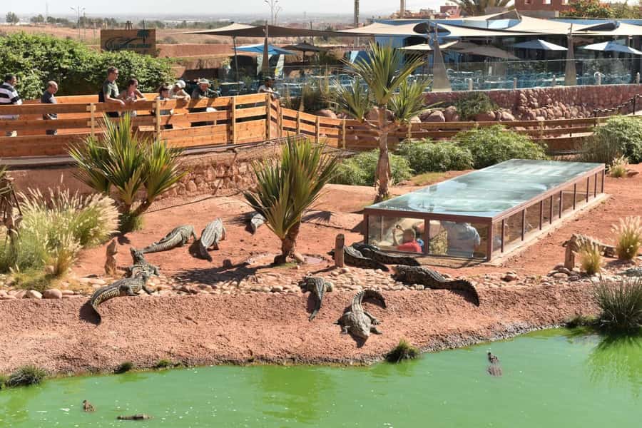 From Agadir/Taghazout: Buggy Safari Adventure & Moroccan Tea - Pickup from Agadir or Taghazout